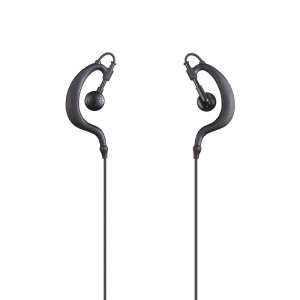 Ear-hook Type